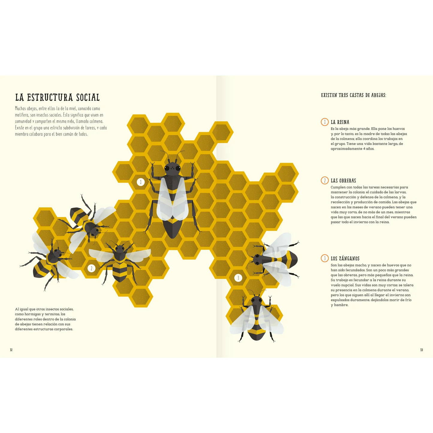 EL MUNDO DE LAS ABEJAS