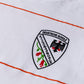 POLERA DEPORTIVA POLO MANGA LARGA DSTM
